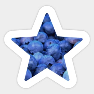 Blueberry Fruit Star Sticker